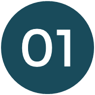 icons n01v