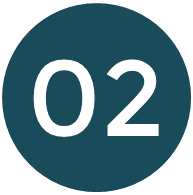 icons n02v