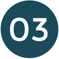 icons n03v