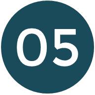 icons n05v